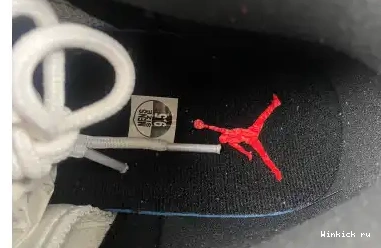 AIR JORDAN 12 “TWIST” 0507